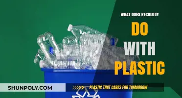 Recycling Plastic: Recology's Innovative Approach