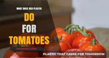 Why Red Plastic Mulch Benefits Tomato Plants