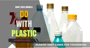 How Ridwell Recycles Plastic: The Process Explained