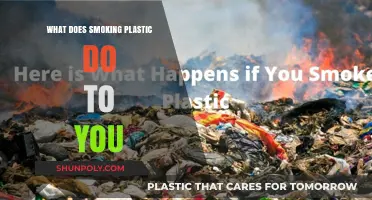 Plastic Smoking: Harmful Health Effects