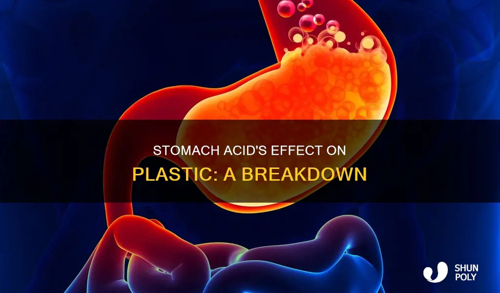 what does stomach acid do to plastic