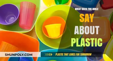 Plastic Pollution: Biblical Perspective and Guidance