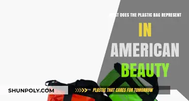 American Beauty's Plastic Bag: Symbolism of Freedom and Existential Reflection