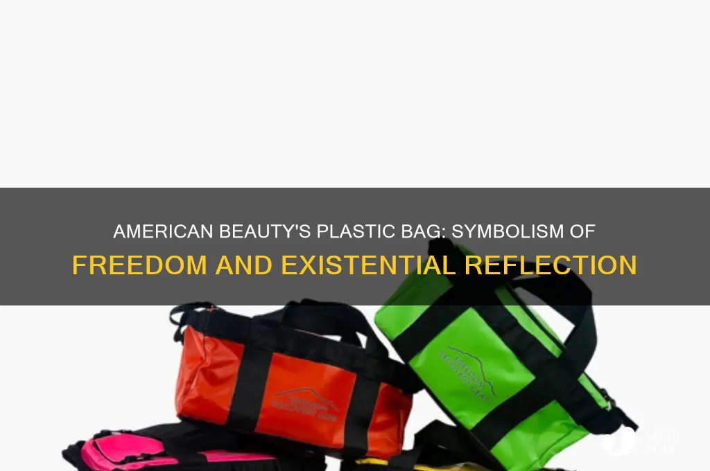 what does the plastic bag represent in american beauty