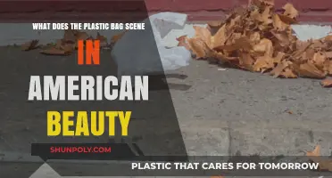 American Beauty's Plastic Bag Scene: Symbolism and Deeper Meaning Explained