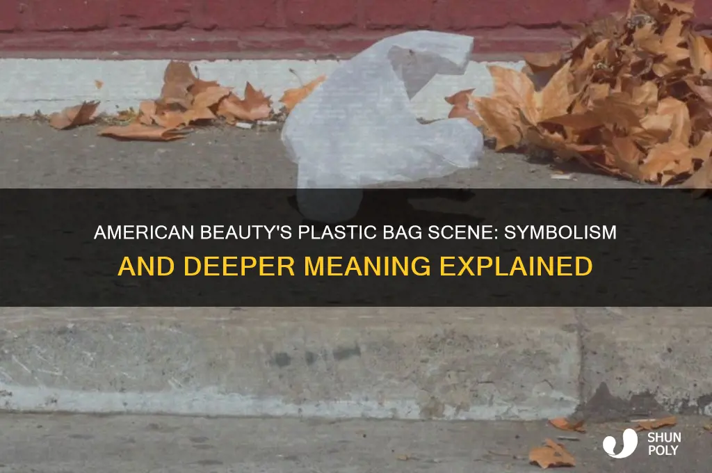 what does the plastic bag scene in american beauty