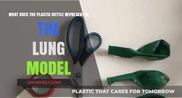 Plastic Bottle Lung Model: Symbolism and Environmental Health Insights