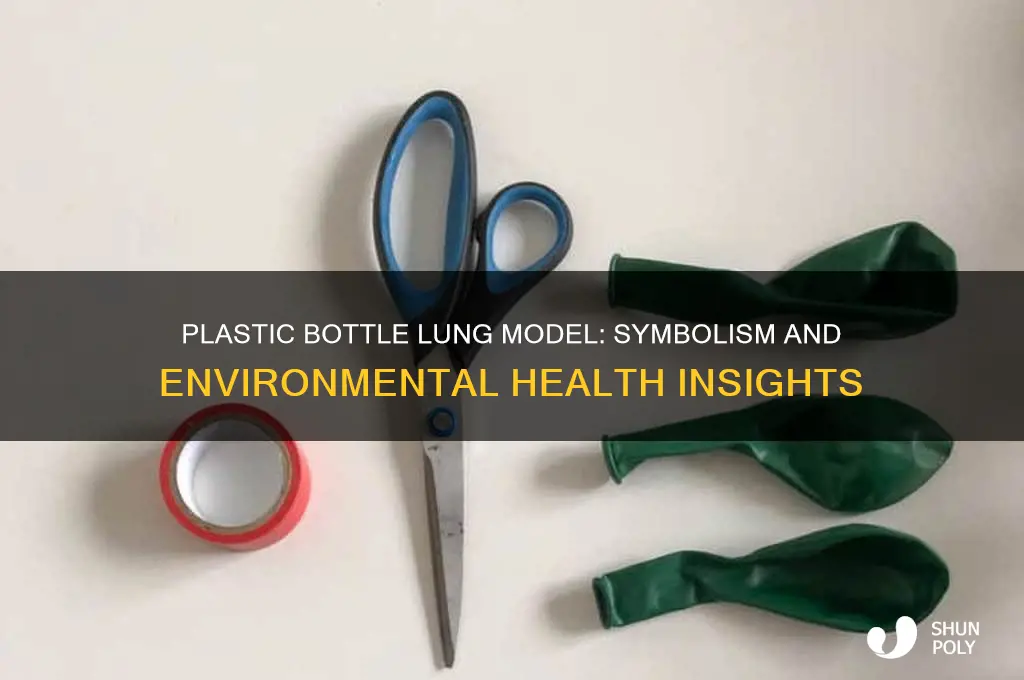 what does the plastic bottle represent in the lung model