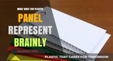 The Plastic Panel: Unlocking the Brain's Secrets