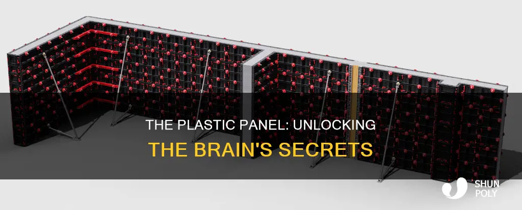 what does the plastic panel represent brainly