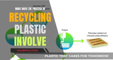 The Intricate Process of Plastic Recycling Explained