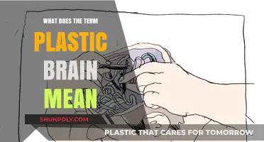 The Plastic Brain: Neuroplasticity Explained