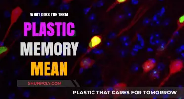 The Evolution of Plastic Memory: Understanding Its True Meaning