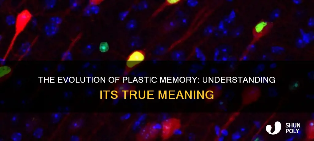 what does the term plastic memory mean