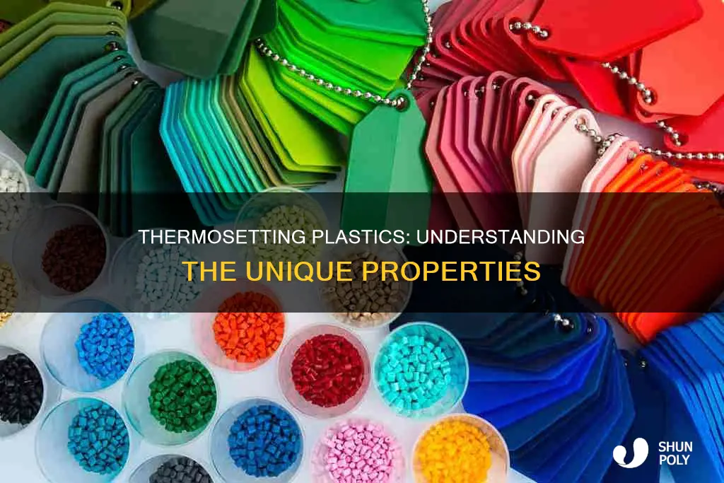 what does the term thermosetting plastic mean