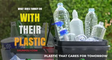 Turkey's Plastic Waste: A Sustainable Approach