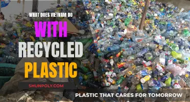 Vietnam's Innovative Approach to Recycled Plastics