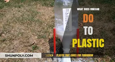 How Vinegar Affects Plastic: A Guide