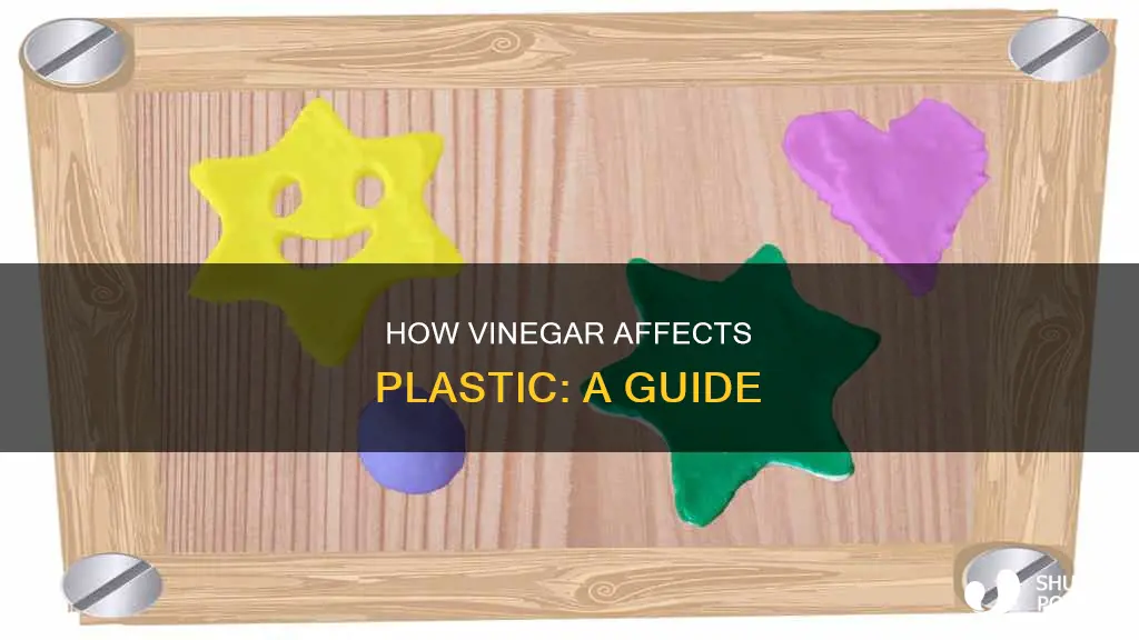 what does vinegar do to plastic