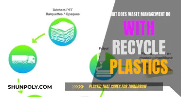 How Waste Management Recycles Plastics: The Process Explained