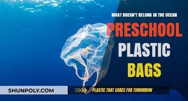 Protecting Our Oceans: Why Plastic Bags Don't Belong in Preschool Habits