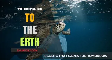 Plastic Pollution: Harming Our Planet, What Can We Do?