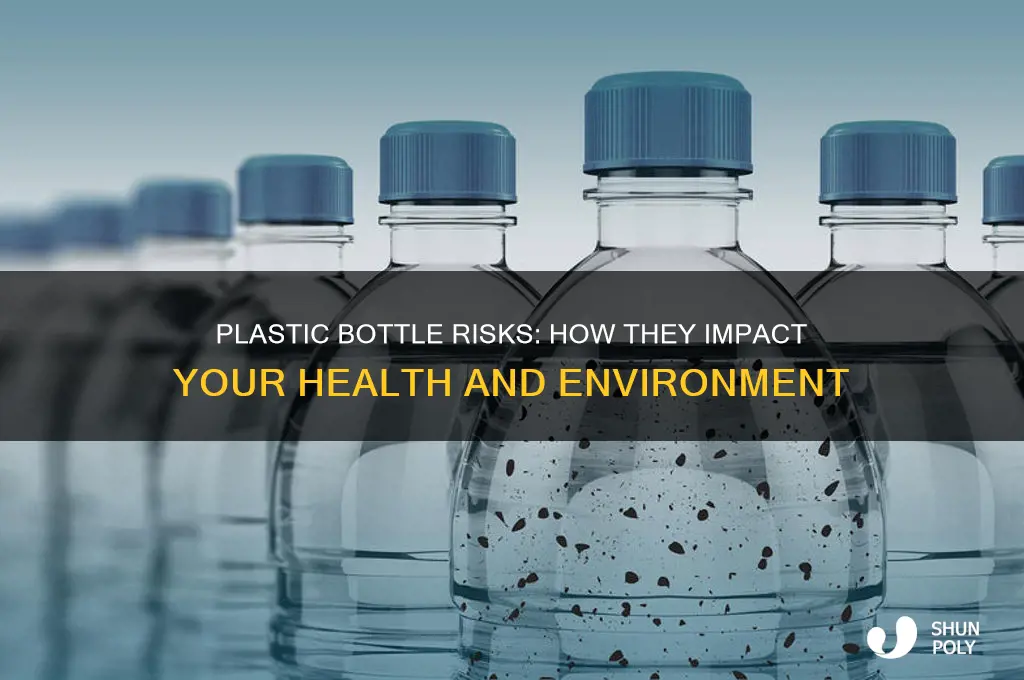 what drinking out of plastic bottles does to you