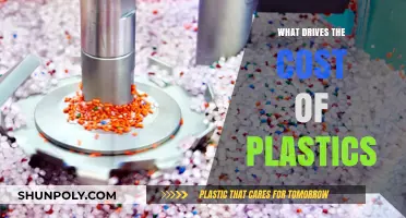 The Rising Cost of Plastics: What's Driving It?