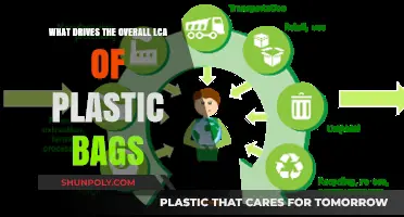 Key Factors Influencing the Environmental Impact of Plastic Bags