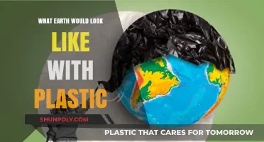 Plastic World: A Bleak Future for Our Planet
