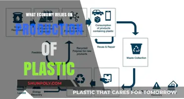 Plastic Production: Powering Economies and Shaping the World