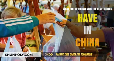 China's Plastic Bag Ban: Environmental Impact and Sustainable Outcomes