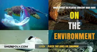 Plastic Grocery Bags: Environmental Impact and Sustainable Alternatives Explored