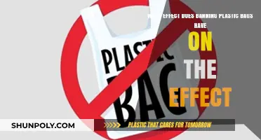 Banning Plastic Bags: Environmental Impact and Sustainable Alternatives Explored