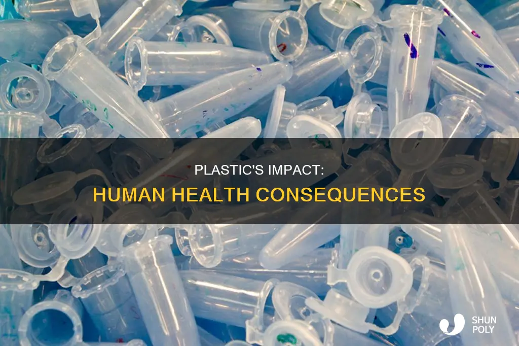 what effect does plastic have on humans
