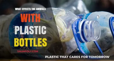 Plastic Bottles' Devastating Impact on Wildlife and Ecosystems Explained