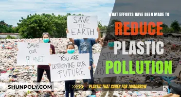 Global Initiatives to Combat Plastic Pollution: Progress and Challenges
