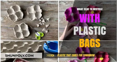 Beyond Plastic Bags: Creative Recycling Ideas for Everyday Items