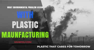 Plastic Manufacturing: Environmental Impact and Solutions