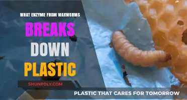 Waxworms: Nature's Plastic-Eating Heroes