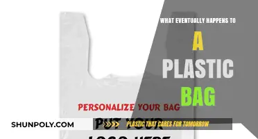 The Long Journey of a Plastic Bag: From Use to Fate
