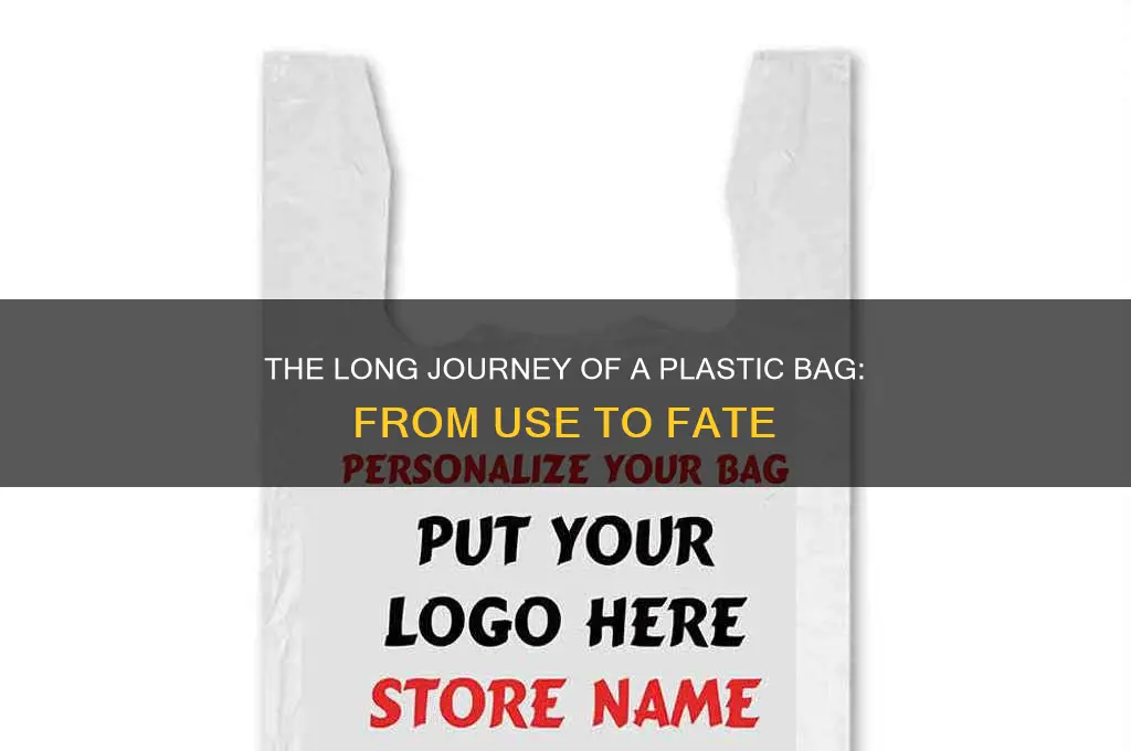 what eventually happens to a plastic bag