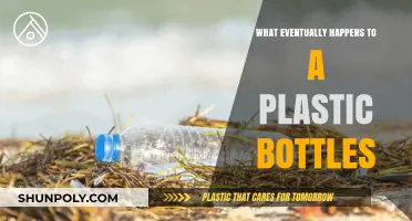 The Long Journey of Plastic Bottles: From Use to Fate