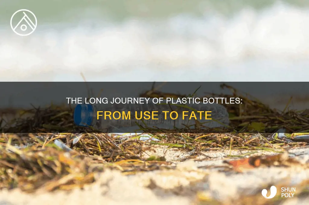 what eventually happens to a plastic bottles