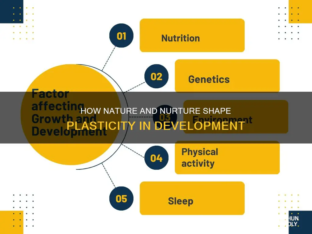 what factors influence plasticity in development