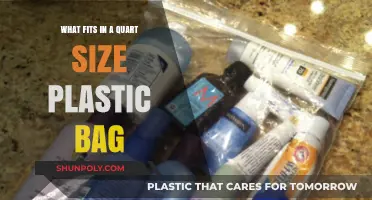 Maximize Your Carry-On: What Fits in a Quart-Size Plastic Bag