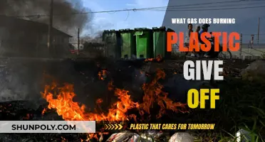 Burning Plastic: The Dangers of Toxic Gas Emissions