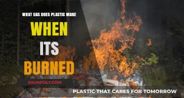 Toxic Fumes: What Gases Does Burning Plastic Release into the Air?