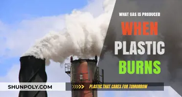 The Danger of Burning Plastics: Toxic Gas Release