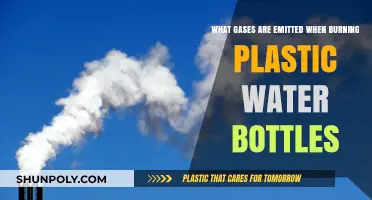 Toxic Emissions: Gases Released from Burning Plastic Water Bottles
